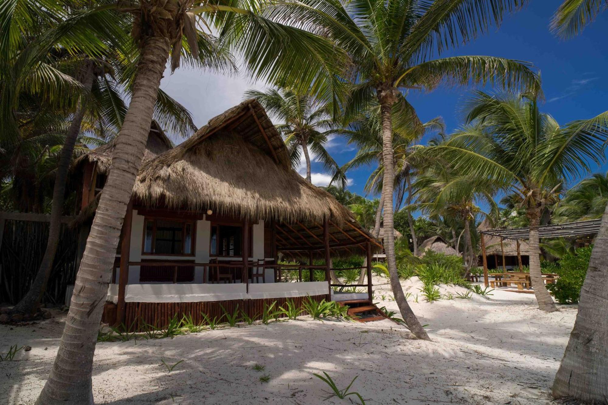 Bt Live Tulum Located At The Party Zone Hotell Exteriör bild
