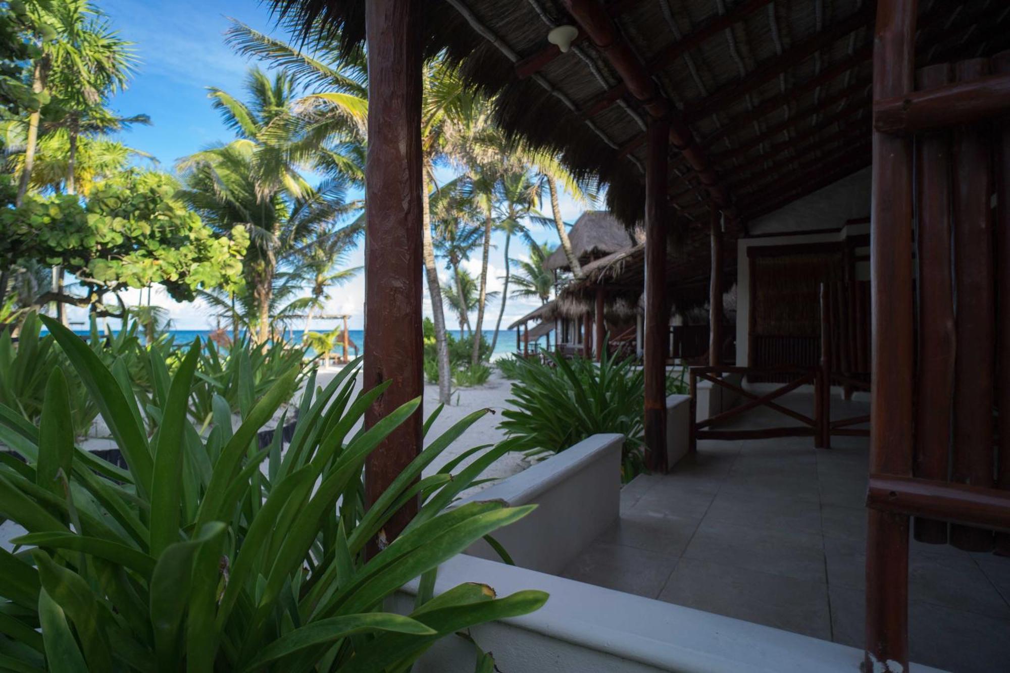 Bt Live Tulum Located At The Party Zone Hotell Exteriör bild