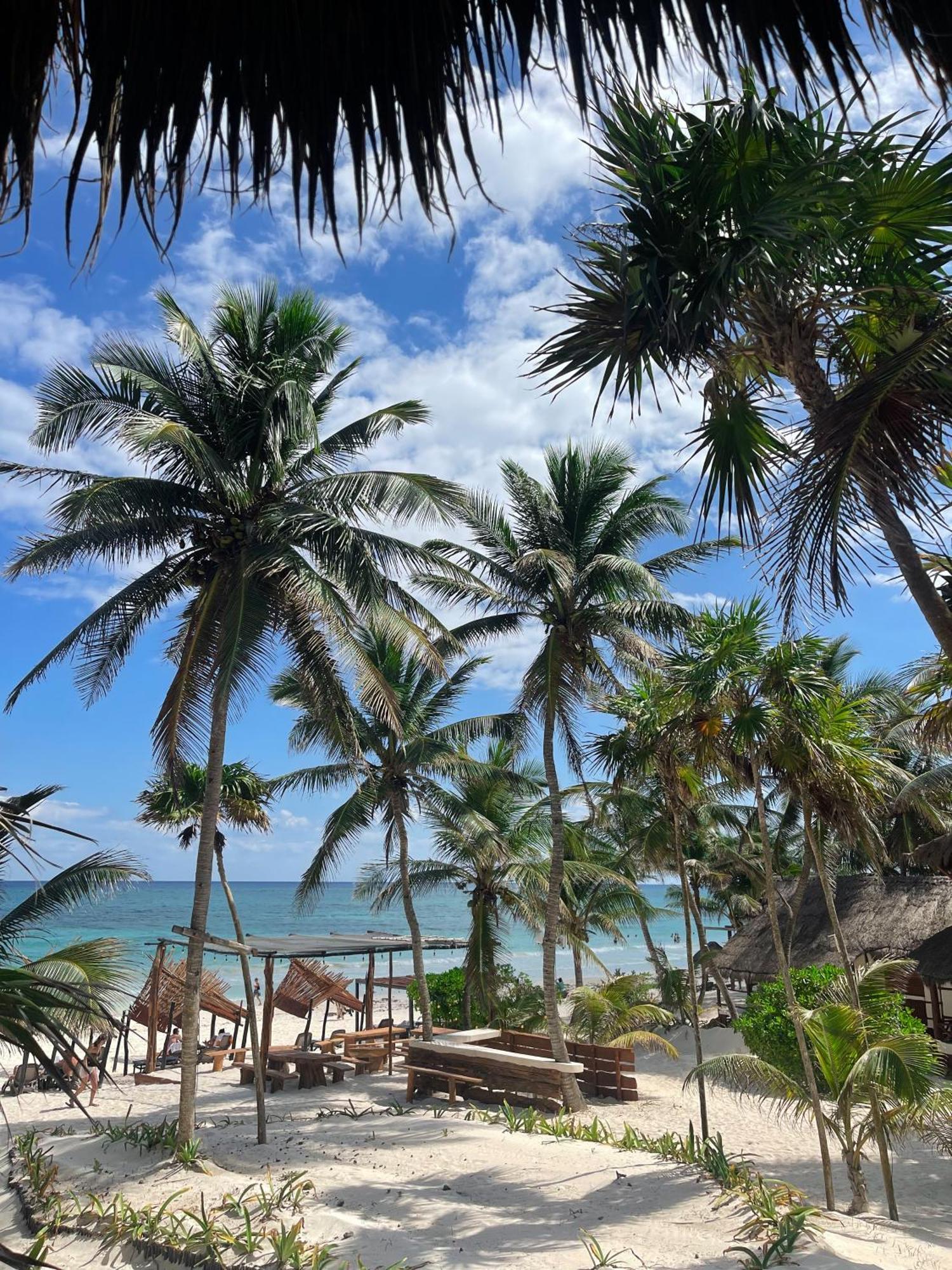 Bt Live Tulum Located At The Party Zone Hotell Exteriör bild