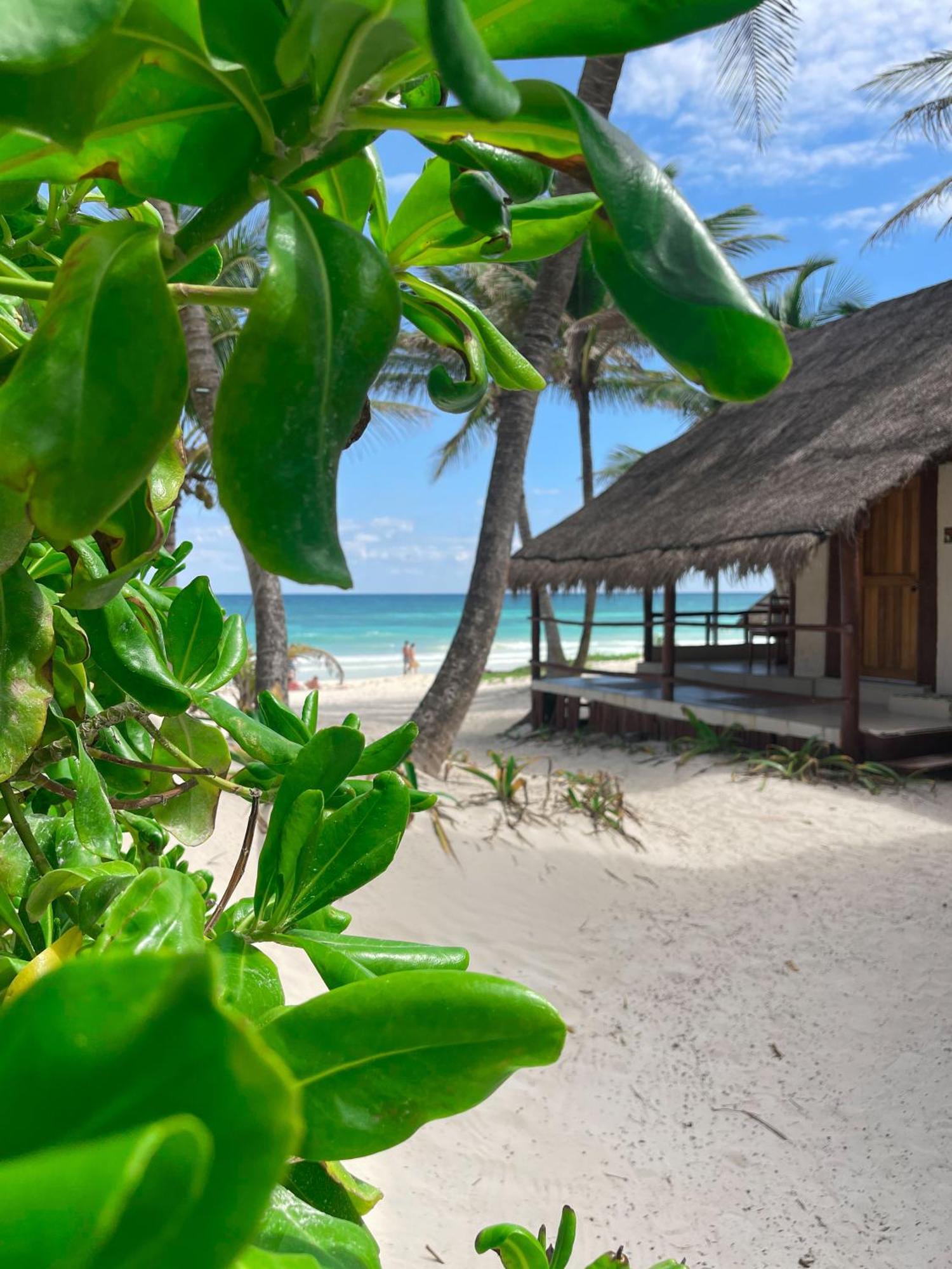 Bt Live Tulum Located At The Party Zone Hotell Exteriör bild