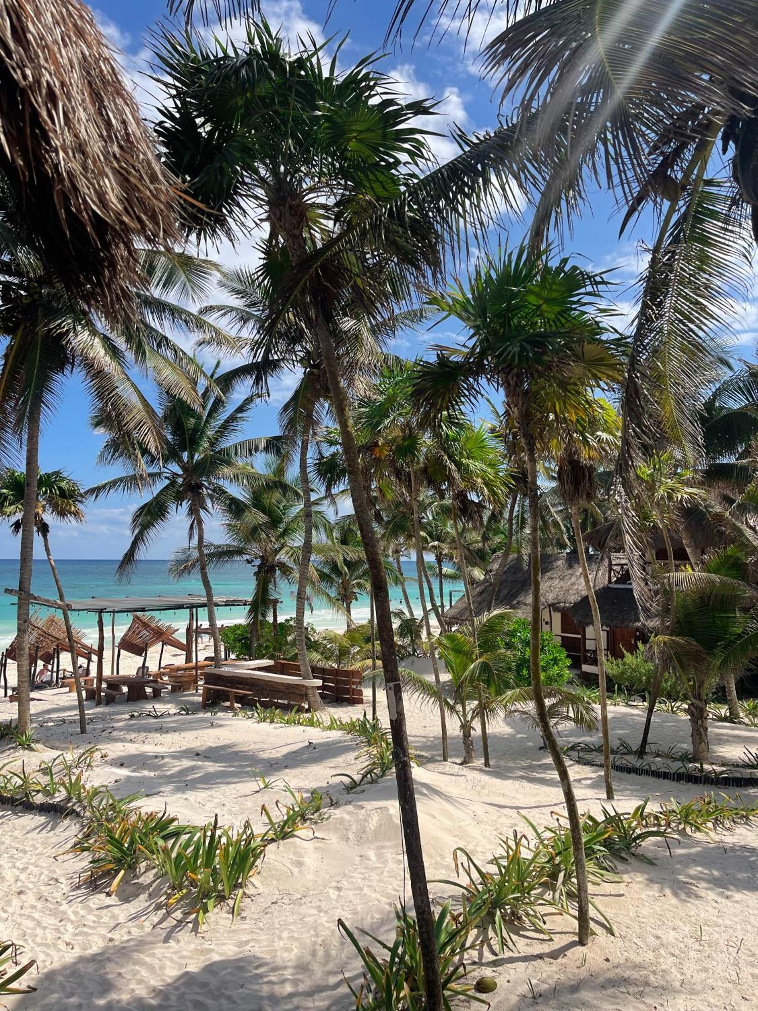 Bt Live Tulum Located At The Party Zone Hotell Exteriör bild