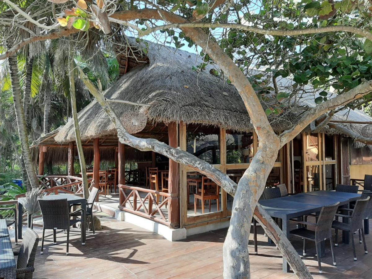 Bt Live Tulum Located At The Party Zone Hotell Exteriör bild